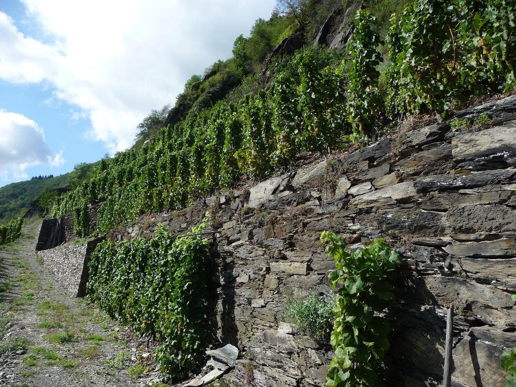 Gasthaus Zum Rebstock Hirzenach Exteriör bild